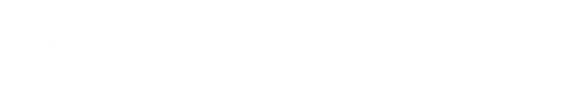 Modern Finance Lab